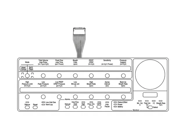Teclado de Membrana para Ventilador Bird 8400 STI - Vista 2